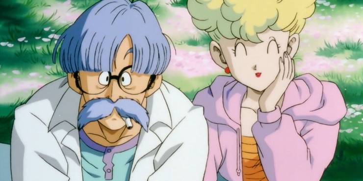 Dragon Ball 10 Strangest Romances In The Franchise Dragon Ball 10 Strangest Romances In The Franchise